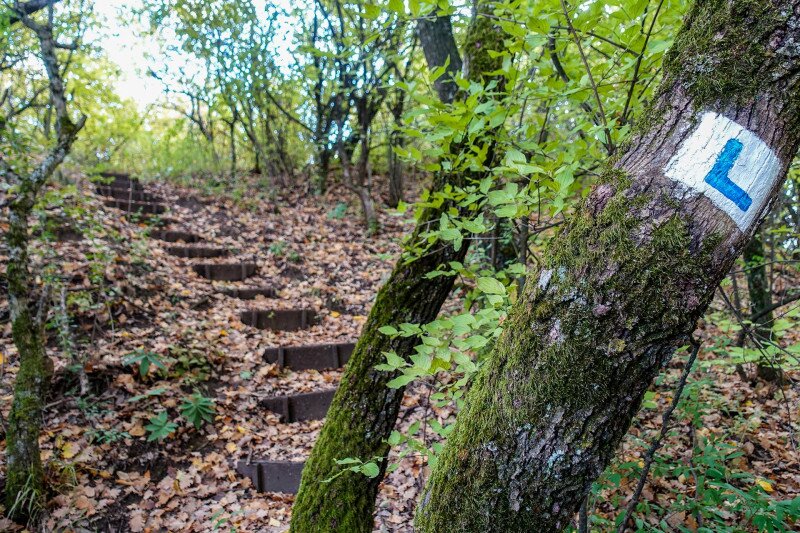 ����������������������������������������������������������������