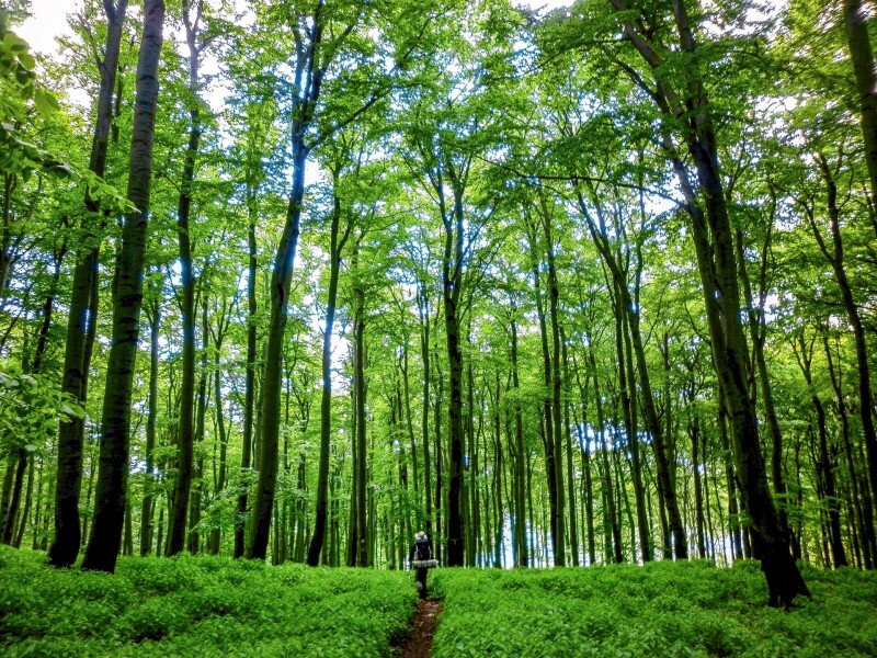 01 FOTO Lánczi Péter