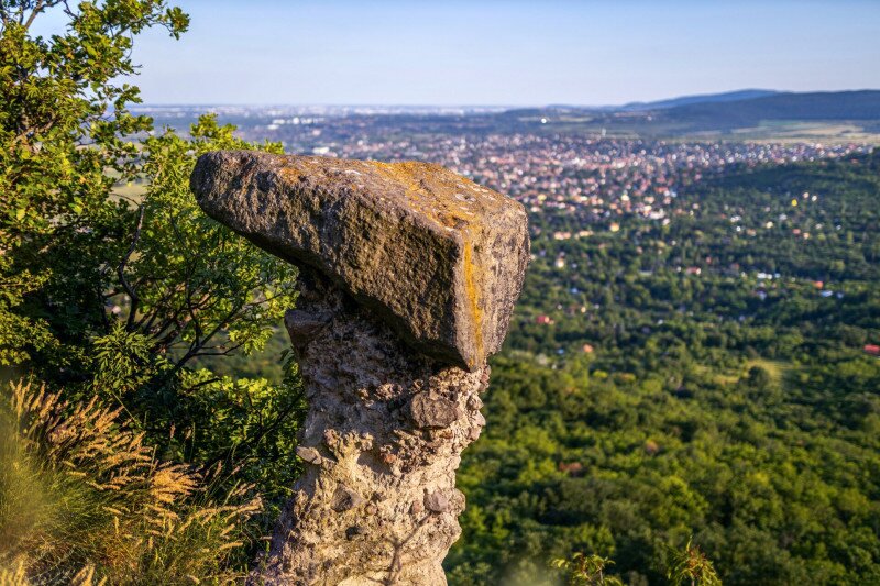 01 Napolen kalapja FOTO Gulyás Attila
