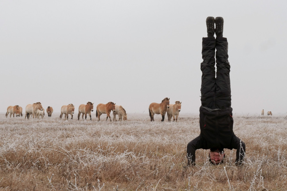 020 53 MAKING OF Zoltan Török film director head stand with wild horses. Atte Henriksson