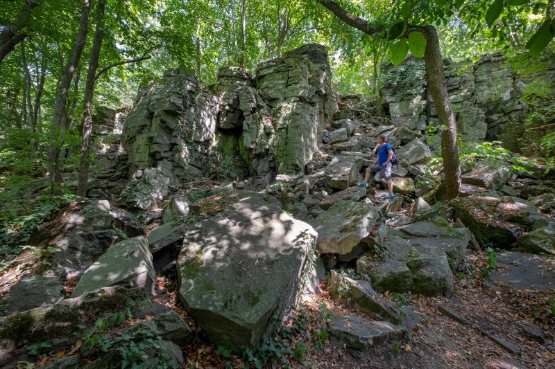 02  55_DSF8782 bazaltutca