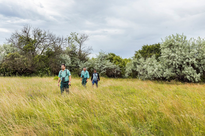 02 CSM_20210614_8149