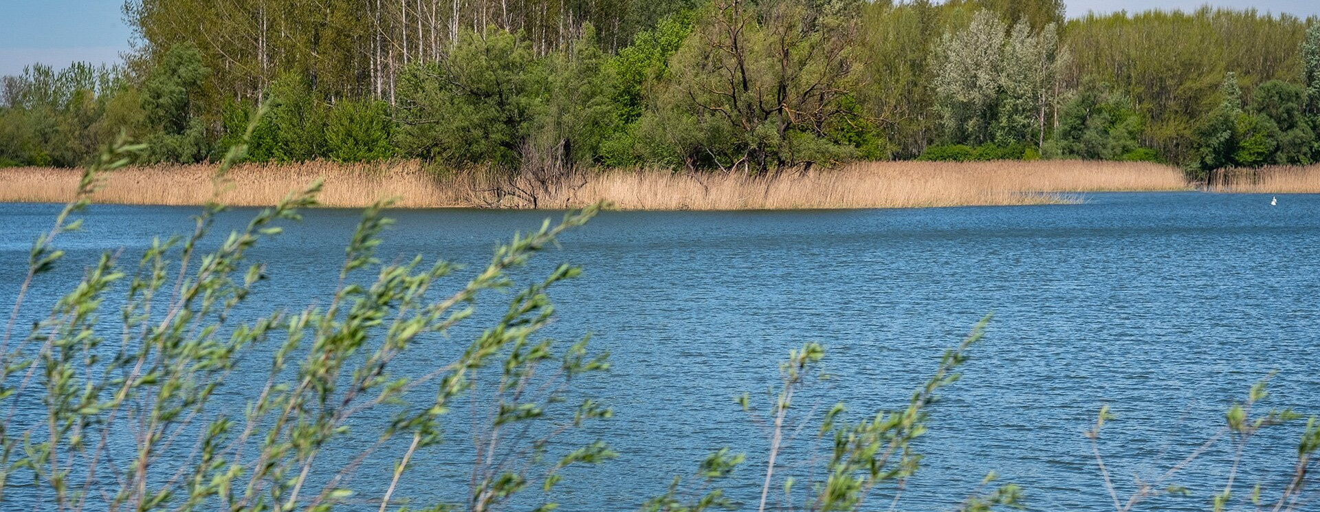 Mi történik, ha nagyobb teret adunk a folyóknak?