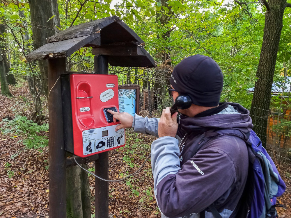 02 Telefon a fák között FOTO Nógrádi Attila