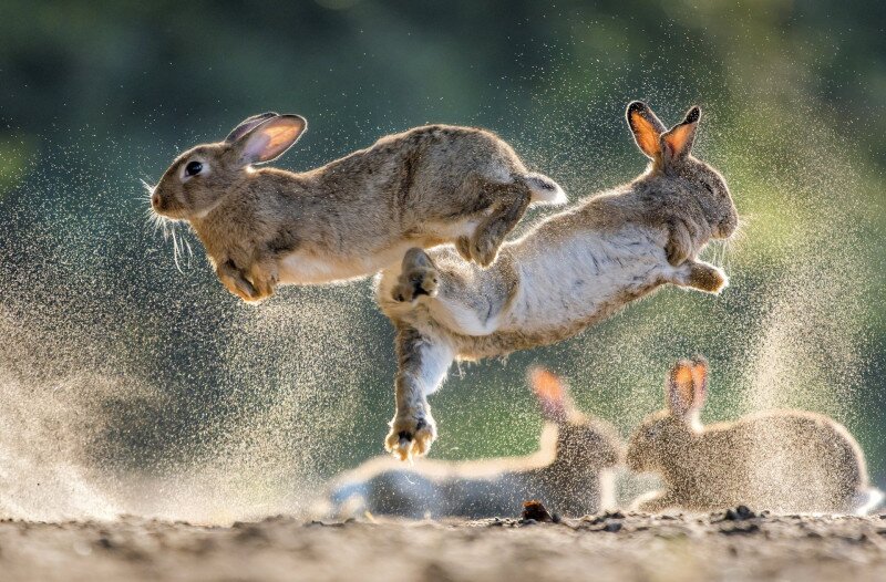 03_1_1104_0707-aadb5195-114584-8c3efb23-291493