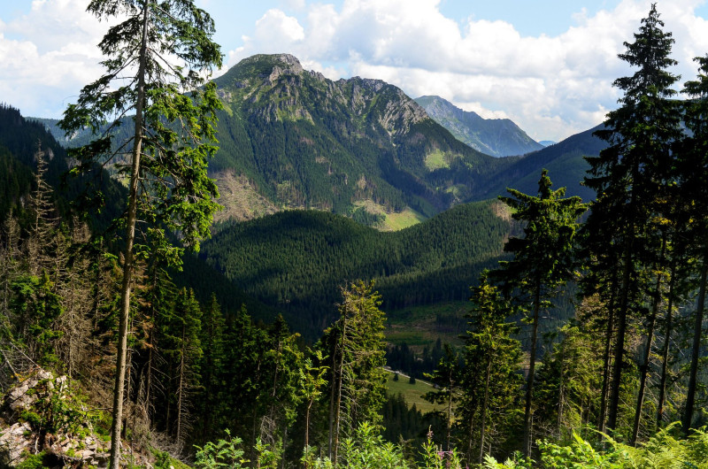 03 A Lucna a Chocholowska-völggyel az előtérben FOTO AdobeStock_198515092