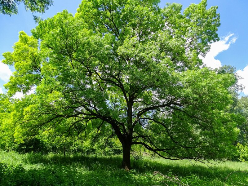 ����������������������������������������������������������������