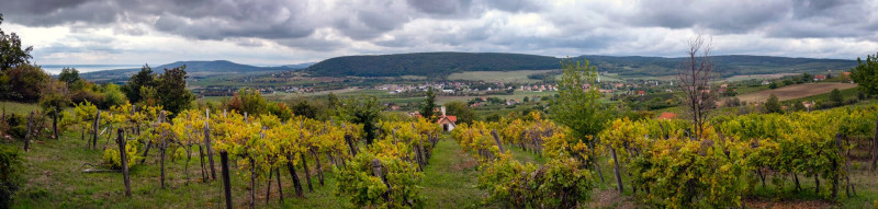 04 05 15 16 17 032 kilátás a Szent Balázs-hegyről a Nivegy-völgyre JO PK