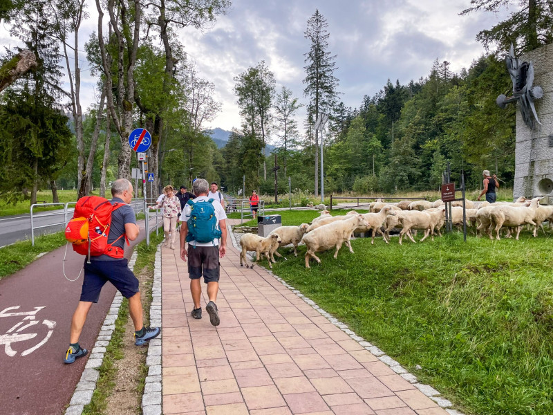 04-05 IMG_0238- FOTO Nógrádi Attila