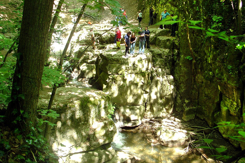 0433-2.jpg