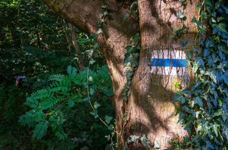 Kedvenc kéktúrás élményeink 2. rész