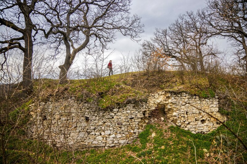 04 CSM_20230309_6254