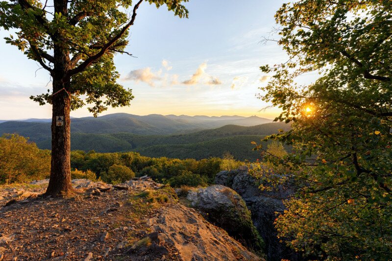 04 FOTO Farkas Péter 04