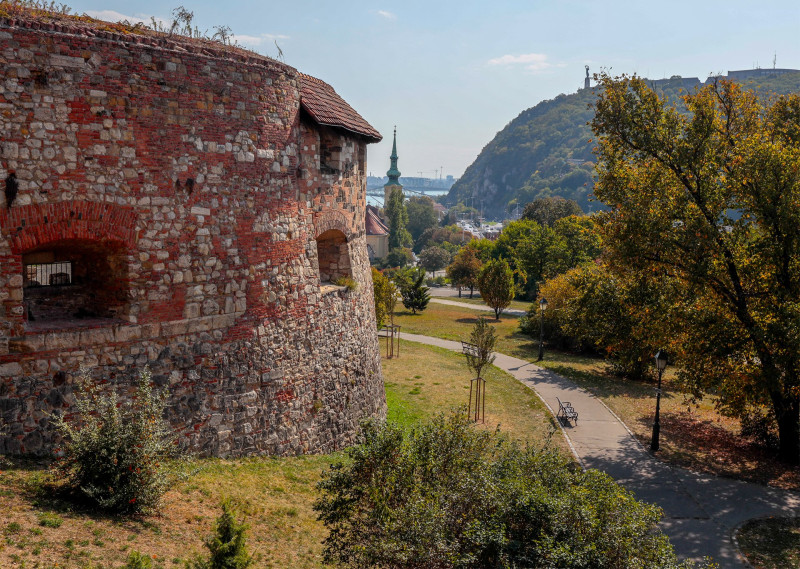 04_foto_francz_ilona