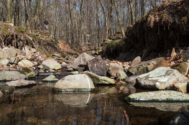 A faúsztatás emlékei a Börzsönyben