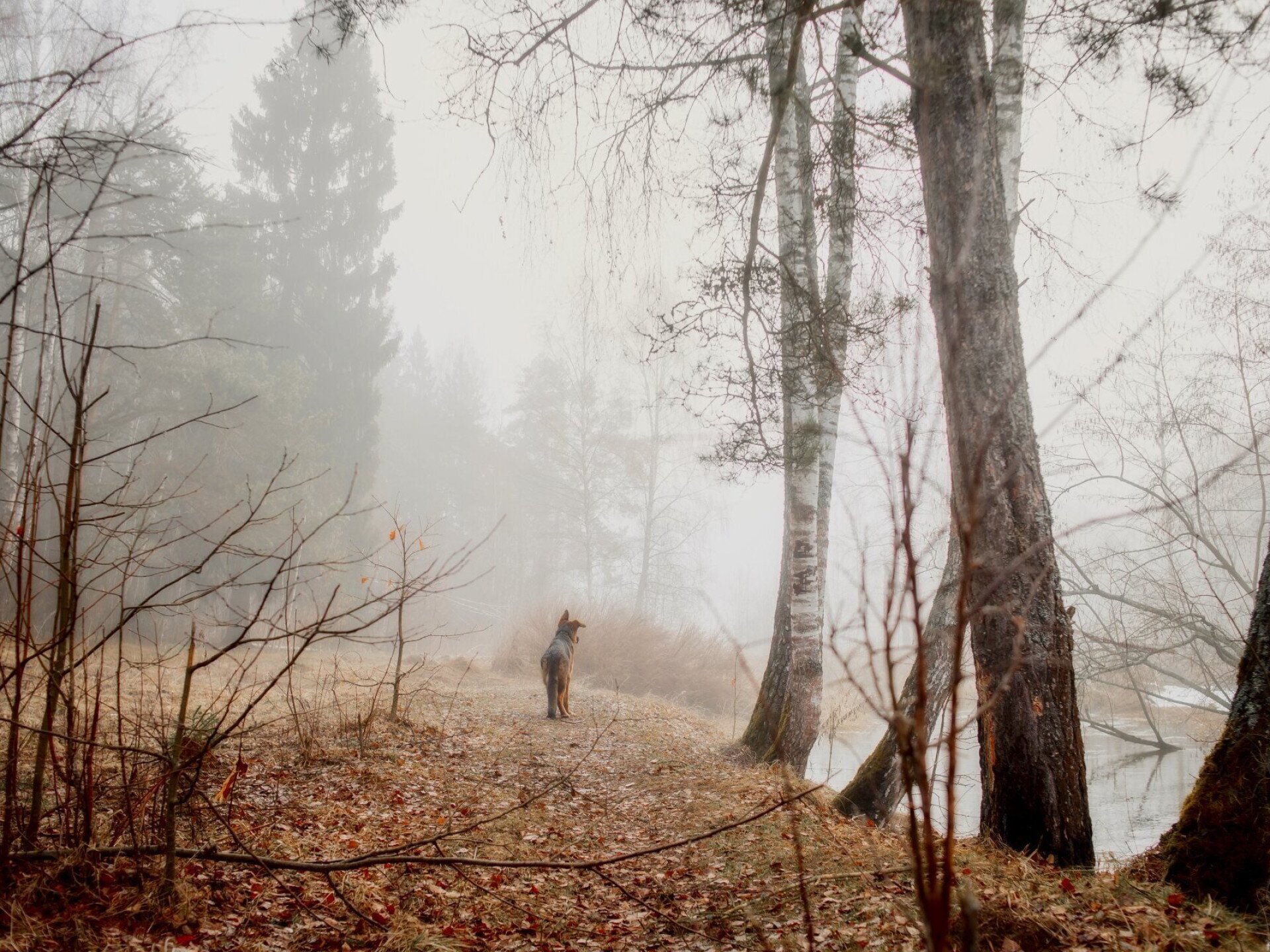 Öt szuper hazai túraesemény, amiért szottyos november végi időben is érdemes útra kelni – Hétvégi programajánló