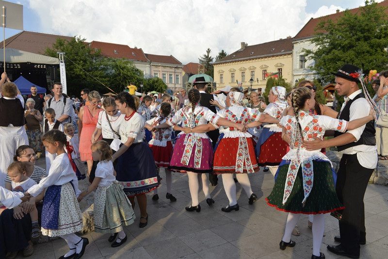 05_foto_www_vacivigalom_hu(1).jpg