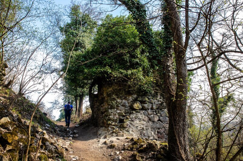 06-03_CSM_20210412_Bujak_Var_kapu_014 OLD