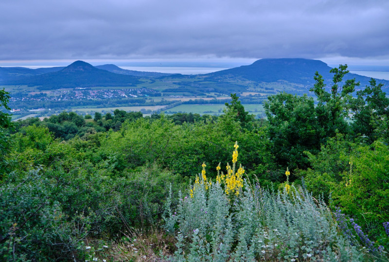 0664_XS107402_240616_