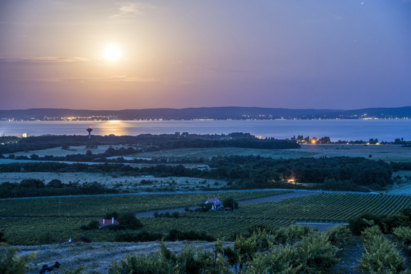 06_tagyon-szolohegy-3-foto-gulyas-attila.jpg