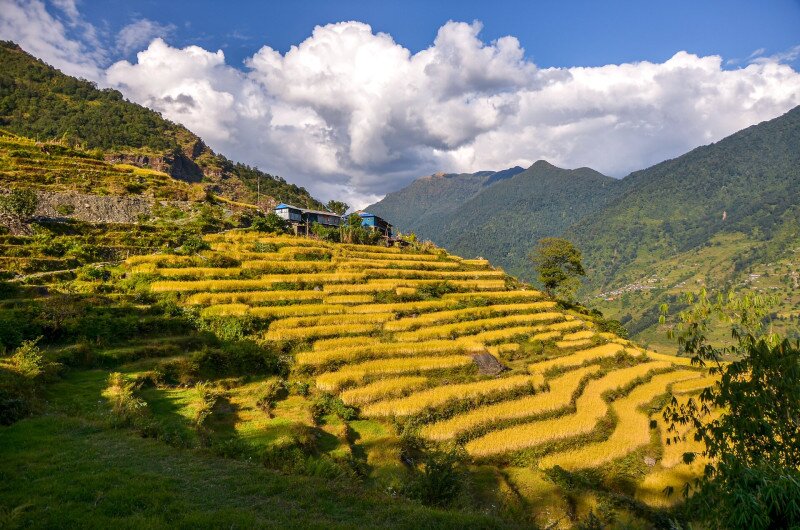 07-08 kölesföldek 03