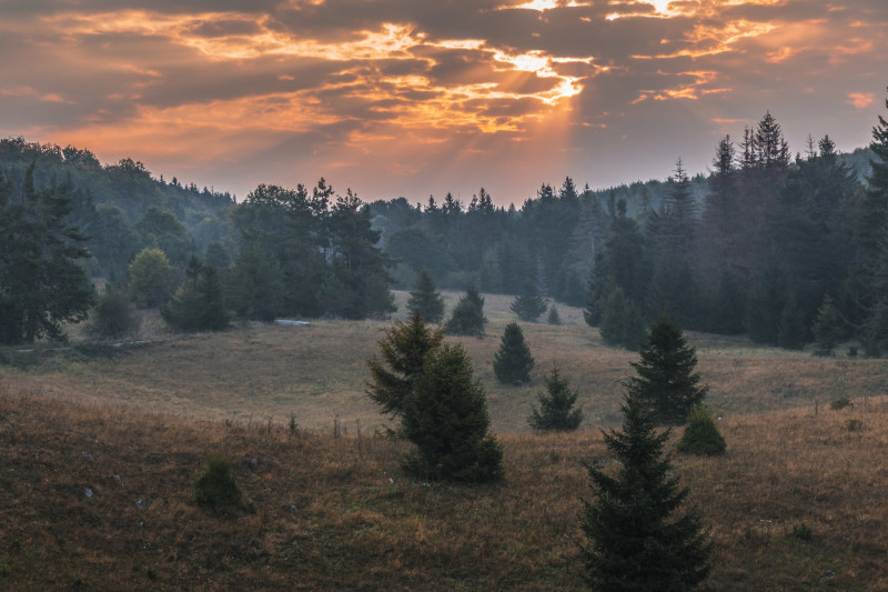 07 Bukk-fennsik Menyecske töbör FOTO Feher Janos