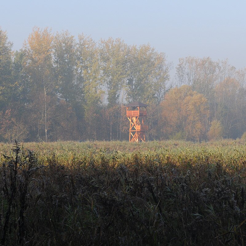 07_dsc_0073.jpg