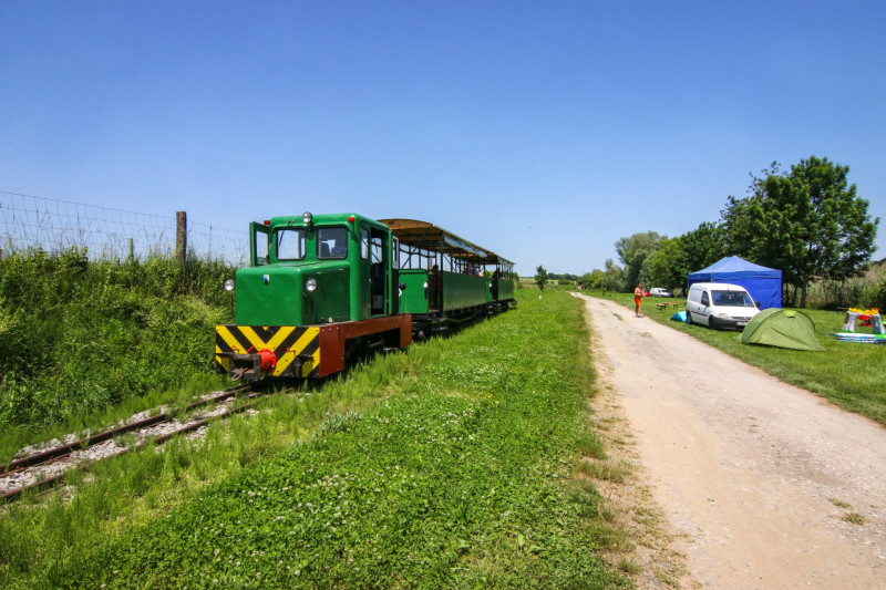 08 6978 Zselici Csühögő