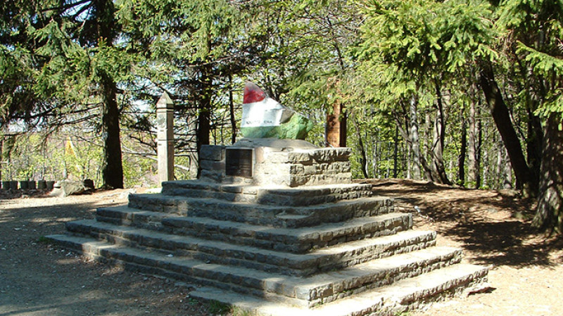 0959-2.jpg