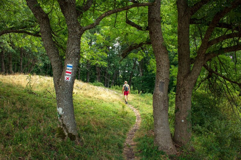 09 FOTO Kisida András