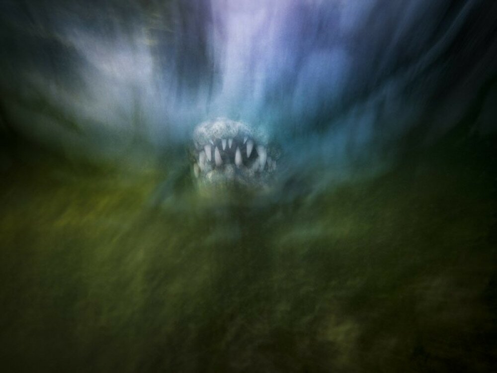 09 Underwater Highly Jacob Degee - POLAND -Impressionism