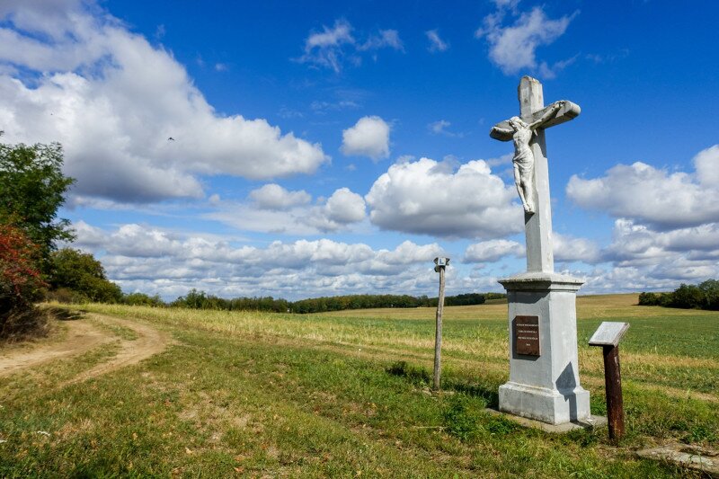 ����������������������������������������������������������������