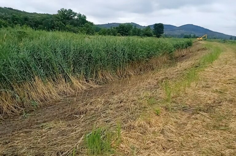 Kotorják a Zagyva felső szakaszát, a természetvédők a munkálatok leállítását kérik