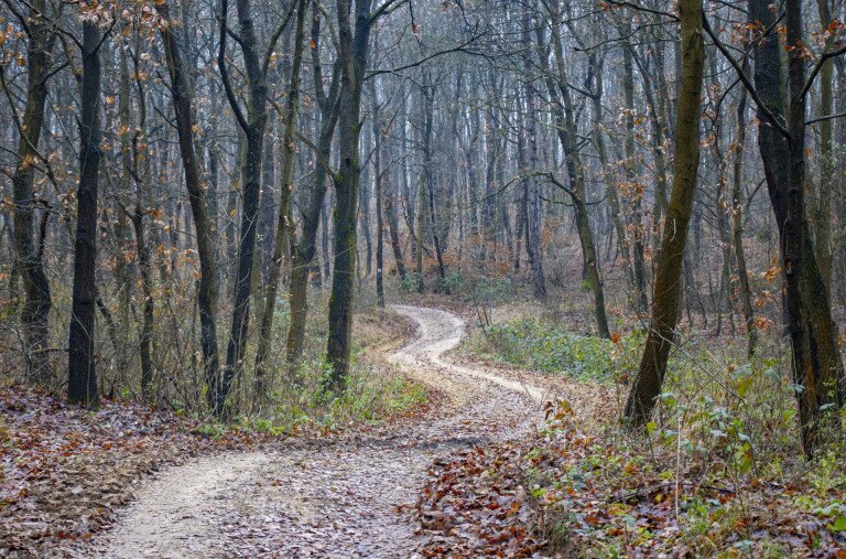 Három forrás útján a Pilisben