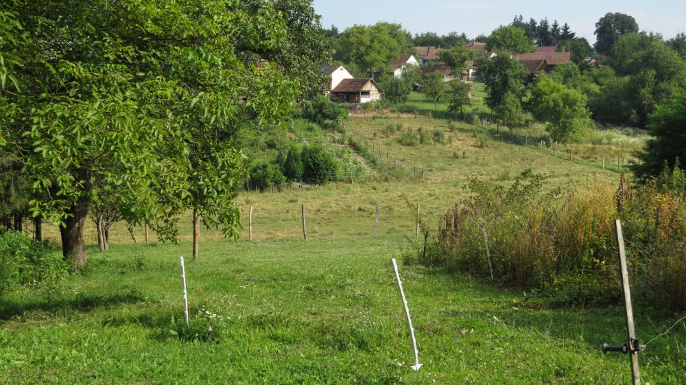 0 Parasza határa