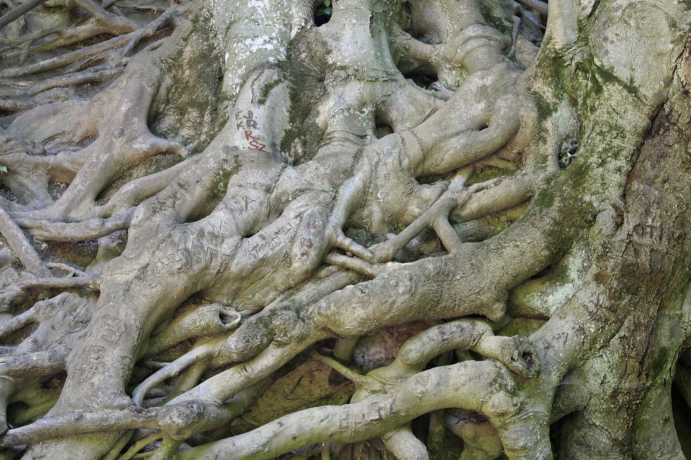 10(21).jpg