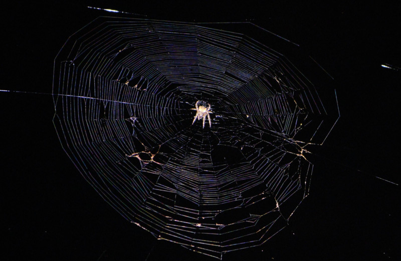 10_4209_XS102119_240721_