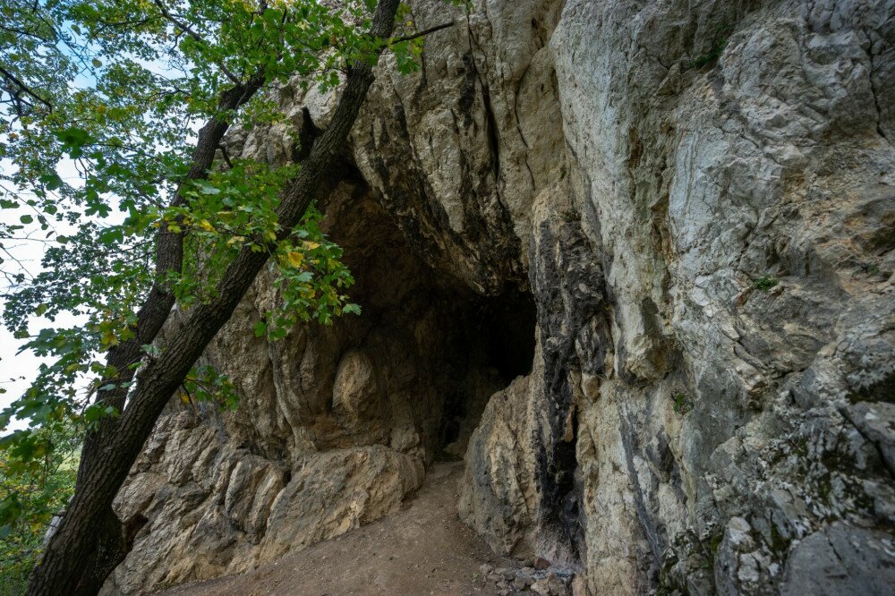 10 a-csevi-barlang-also-kijarata FOTO Dömsödi Áron