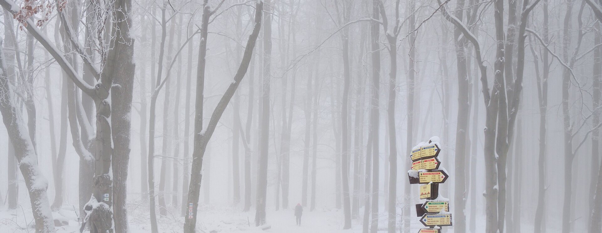 A Természetjáró csapata is megtaposta a friss havat – galéria