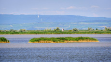 10 érdekesség, amit nem biztos, hogy tudtál a Fertő tóról