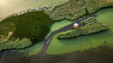 10 érdekesség, amit nem biztos, hogy tudtál a Tisza-tóról