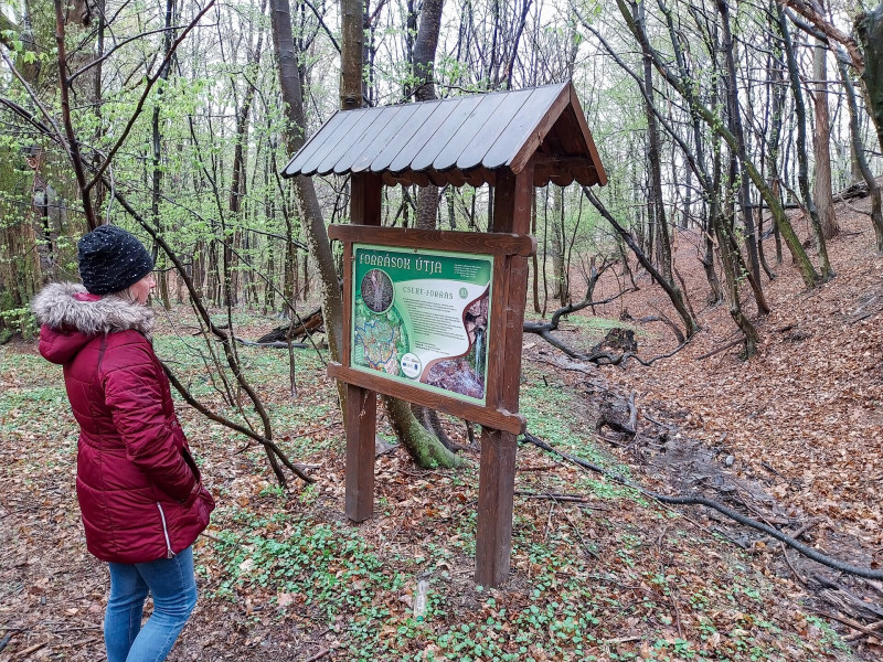 10. évszázados gesztenyefa őrzi a Cseke-forrás csobogóját