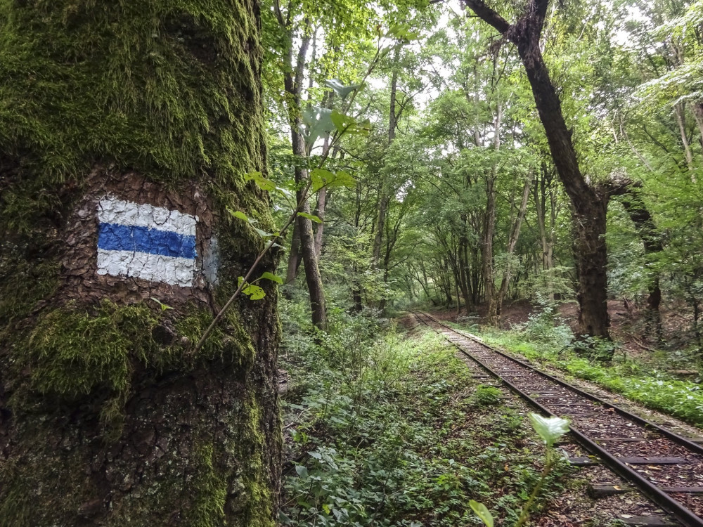10 Felsőtárkányi kisvasút pályája FOTO Lanczi Peter