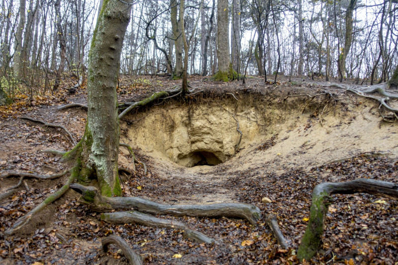 10 Piktortégla-üreg, Budakeszi, Makkosmária