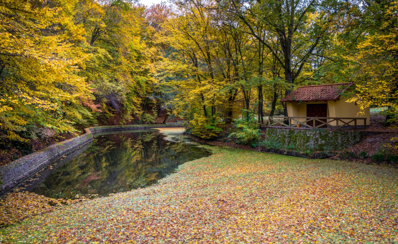 11 Miklós-deák-völgy tavak FOTO Dömsödi Áron