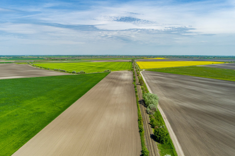 11 vagy 12 szántóföldeken vezet az út FOTO Csanádi Márton