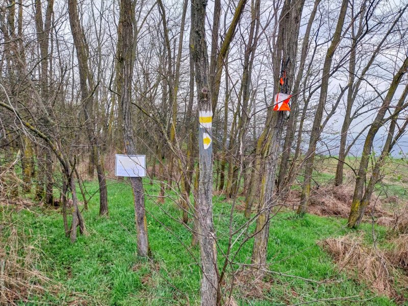 12. matricák a Hársas-tetőn