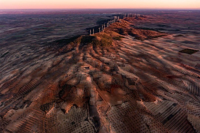 13_1_1263_4898-Radisics_Milan-Szeleromu_farm_az_El_Romeral_hegyen