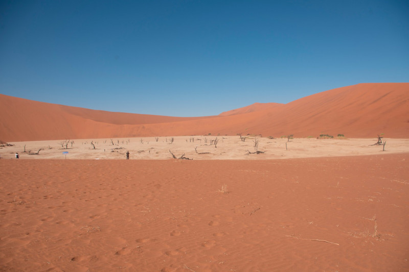 13. Deadvlei, a holt mocsár