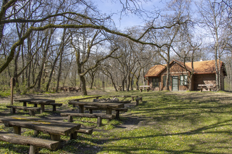 13 - Erzsébet-pihenő